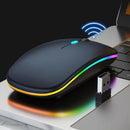 Mouse Wireless RGB