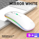 Mouse Wireless RGB